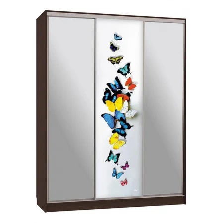 Шкаф-купе Бассо 9-600 88