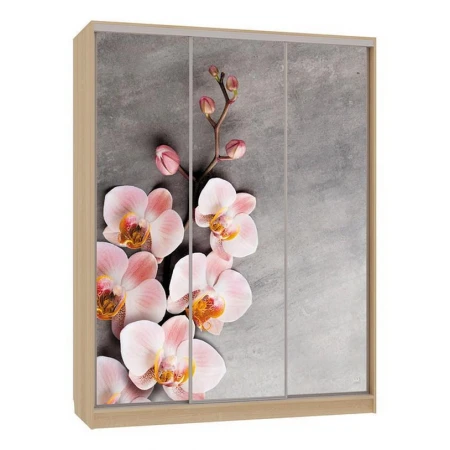 Шкаф-купе Бассо 7-600 78