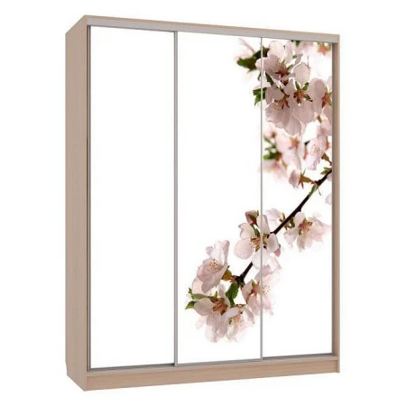 Шкаф-купе Бассо 7-600 яблоня