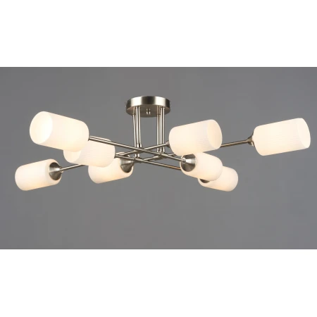 7356/8 SN (1) Люстра RL 