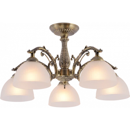 2050-5 AB (1) Люстра RL 