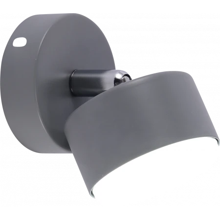 GX3750-1 GREY+CR (1/10) Настенный светильник RL 