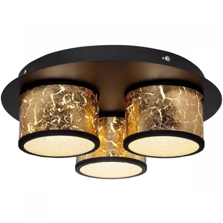 Потолочный светодиодный светильник Globo Potti 49367-18D