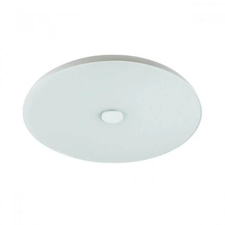 Потолочный светодиодный светильник Sonex Roki Muzcolor 4629/EL