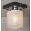 Потолочный светильник Lussole Costanzo LSL-9007-01 Потолочный светильник Lussole Costanzo LSL-9007-01