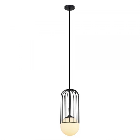 Подвесной светильник Lumien Hall Turi LH4115/1P-BK