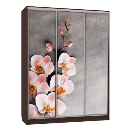 Шкаф-купе Бассо 7-600 78