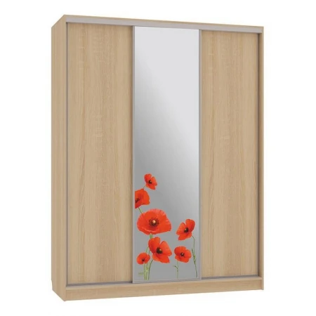 Шкаф-купе Бассо 1-600 маки