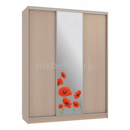 Шкаф-купе Бассо 1-600 маки