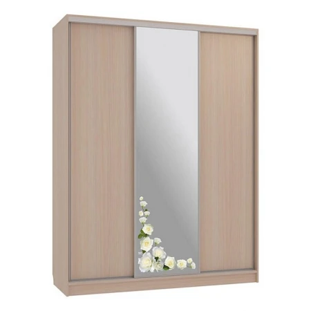 Шкаф-купе Бассо 1-600 розы