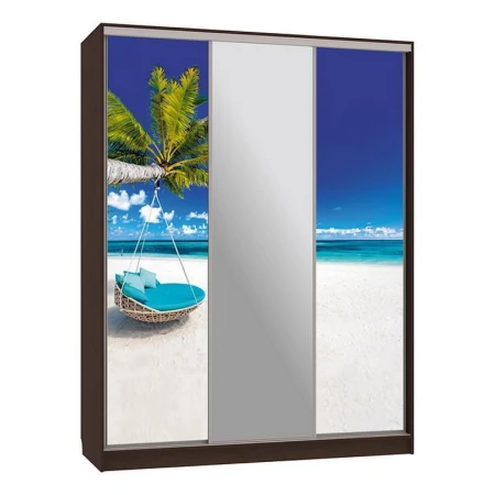 Шкаф-купе Бассо 10-600 77