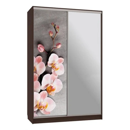 Шкаф-купе Гранд 9-600 78