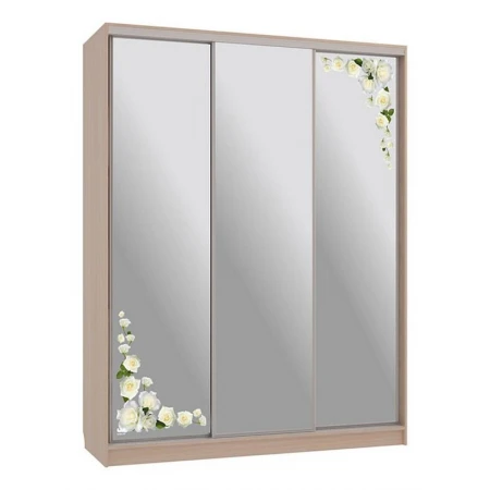 Шкаф-купе Бассо 4-600 розы