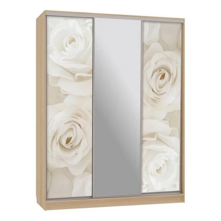 Шкаф-купе Бассо 10-600 розы