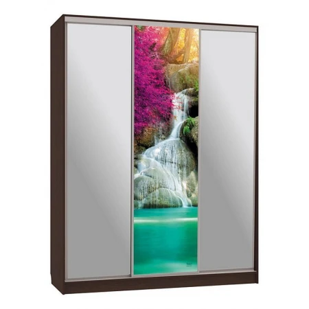 Шкаф-купе Бассо 9-600 49