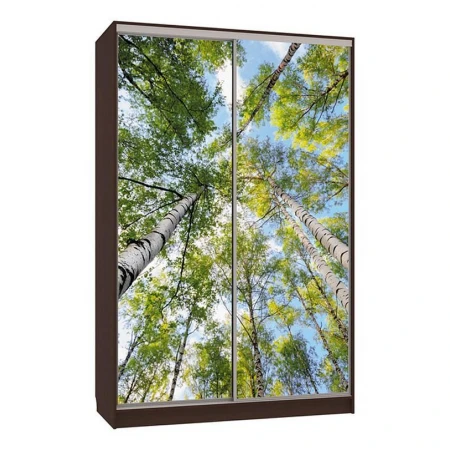 Шкаф-купе Гранд 7-600 57