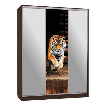 Шкаф-купе Бассо 9-600 87