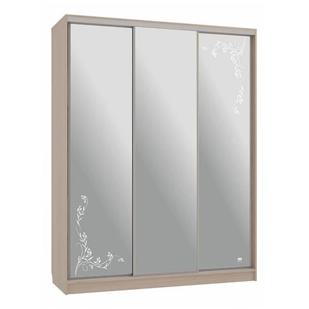 Шкаф-купе Бассо 4-600 цветы 2