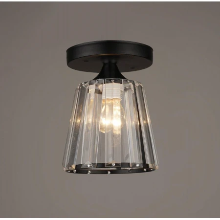 ВР-N3890/1H BK D120*H165мм (20) светильник потолоч [01095020] - Эконом-Плюс люстры