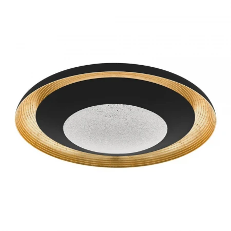 Потолочный светодиодный светильник Eglo Canicosa 2 98685