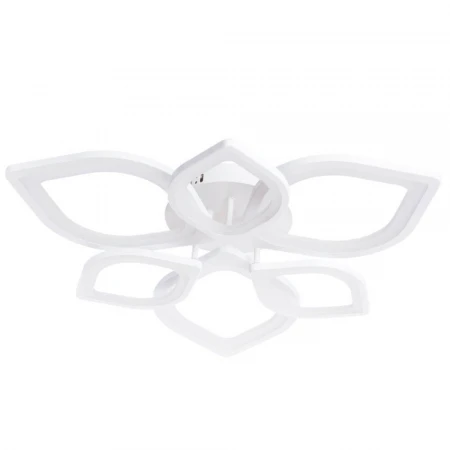 Потолочный светодиодный светильник Arte Lamp Polli A2531PL-6WH