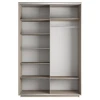 Шкафы-купе 2-х дверный Экспресс Экспенс дуо зеркальный 