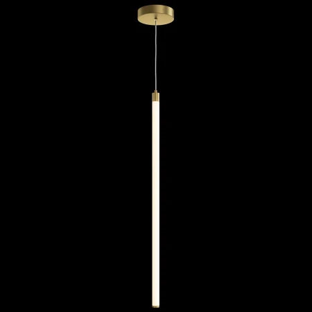 Светильник Maytoni P021PL-L20G3K Ray