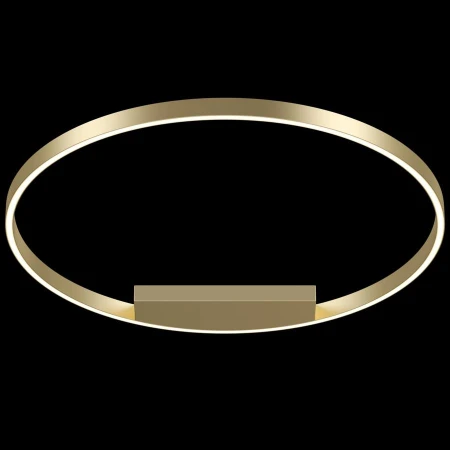 Светильник Maytoni MOD058CL-L50BS4K Rim