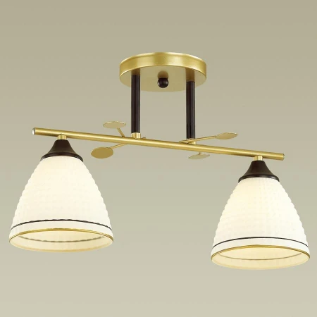 Светильник Lumion 4544/2C BECKY