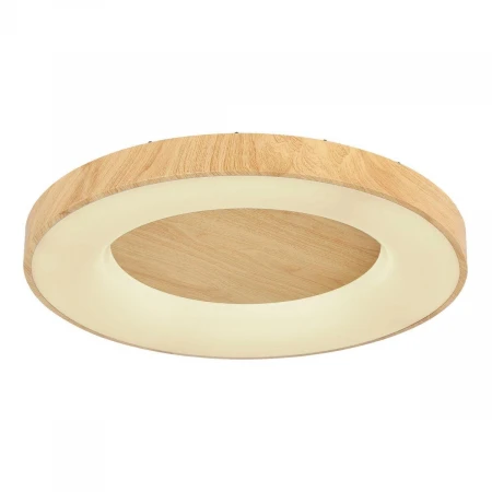 Потолочный светодиодный светильник Globo Jolli 41758-42