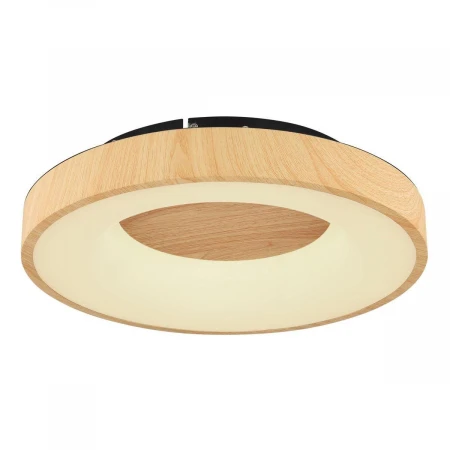 Потолочный светодиодный светильник Globo Jolli 41758-30