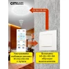 Потолочный светодиодный светильник Citilux Спутник CL734900G