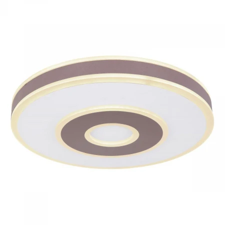 Потолочный светодиодный светильник Globo Maru 48276-60R