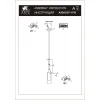 Подвесной светильник Arte Lamp Aries A8983SP-1PB