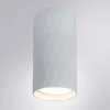 Потолочный светильник Arte Lamp Fang A5557PL-1WH