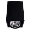 Потолочный светильник Arte Lamp Cardani A5936PL-1BK