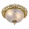 Потолочный светильник Arte Lamp Piatti A8002PL-2GO