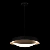 Подвесная люстра Loft IT Petale 10256P Black