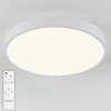 Потолочный светодиодный светильник Natali Kovaltseva LED LAMPS 81112/5C