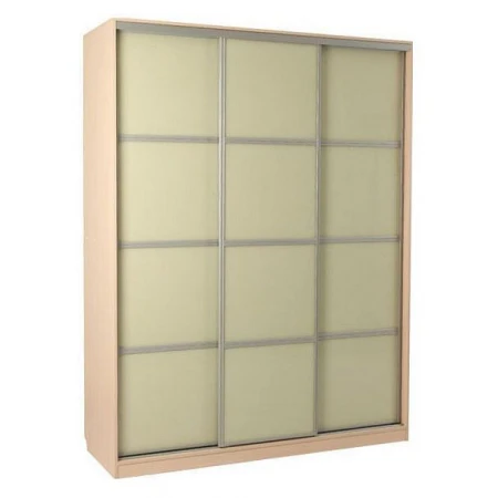 Шкаф-купе Бассо 2-600