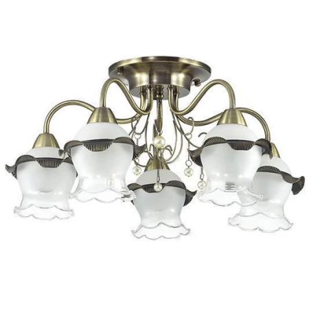 Люстра Lumion 3239/5C ZIDONI