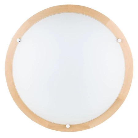 Настенно-потолочный светильник Spot Light 4754060 Frida
