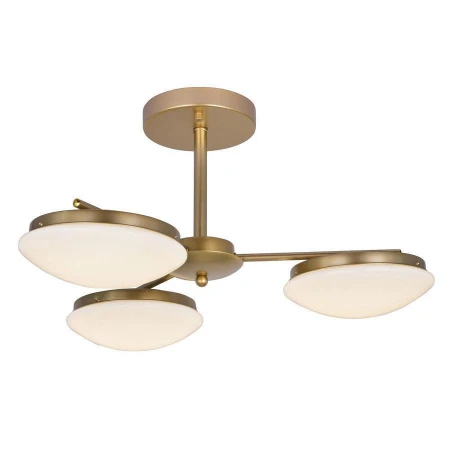 Люстра F-Promo 2476-3P Ledante