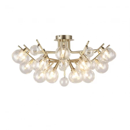 Потолочная люстра Favourite Lash 2524-18U