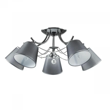 Потолочная люстра Lumion Porta 2974/5C