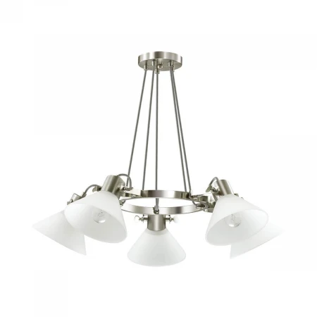 Подвесная люстра Lumion Effi 3707/5