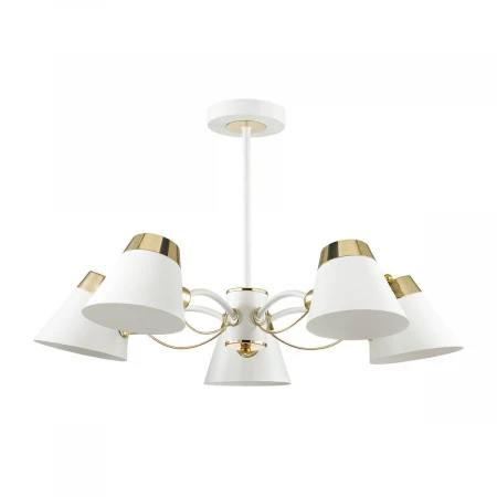 Потолочная люстра Lumion Erin 4407/5C