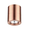 Потолочный светильник Odeon Light Copperium 3586/1C