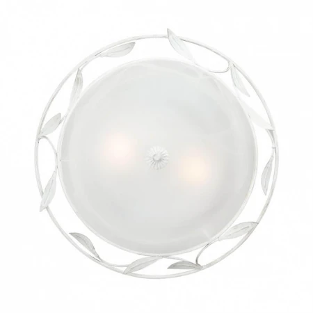 Настенно-потолочный светильник Vitaluce V6862-0/2A