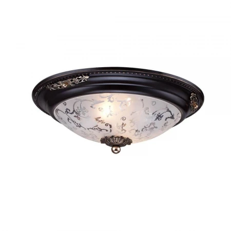 Потолочный светильник Maytoni Diametrik C907-CL-02-R